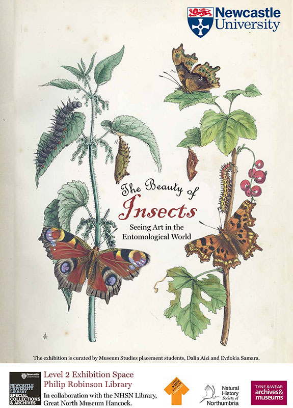 Insects illustration on a 